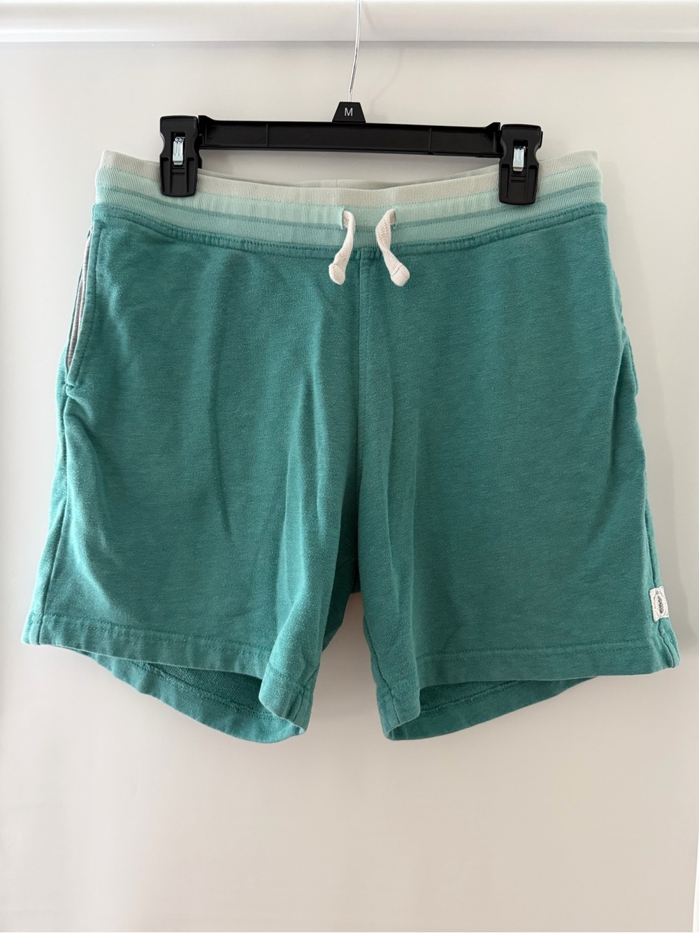 chubbies Teal Drawstring Athletic Shorts